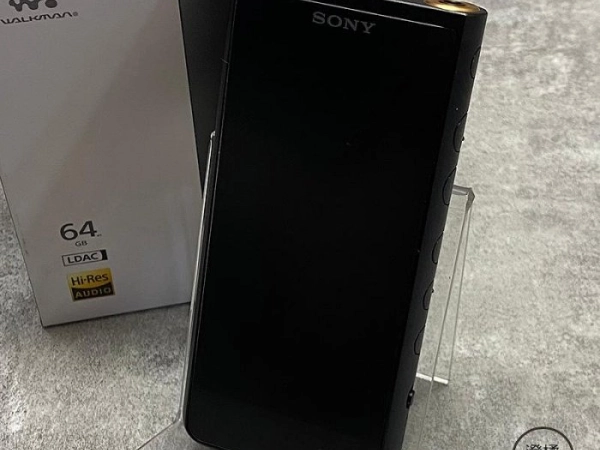 『澄橘』Sony Walkman NW-ZX507 高音質數位音樂播放器 64GB 黑《二手3C 歡迎折抵》A82249